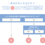 しみ治療の選択肢～あなたのシミはどれ？～