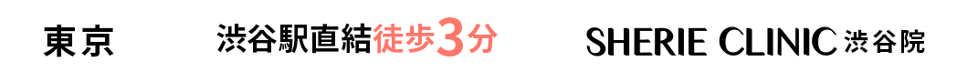 アクセス方法