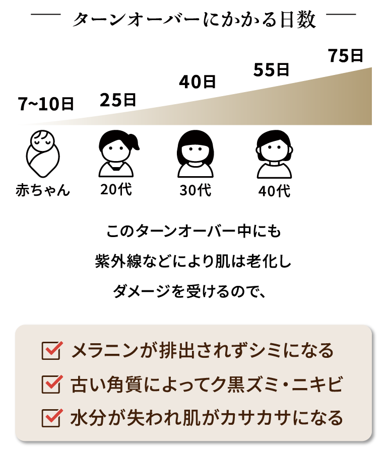 ターンオーバーにかかる日数 赤ちゃん7~10日、20代25日、30代40日、40代55日、50代75日 このターンオーバー中にも紫外線などにより肌は老化しダメージを受けるので、メラニンが排出されずシミになる、古い角質によってク黒ズミ・ニキビができる、水分が失われ肌がカサカサになる