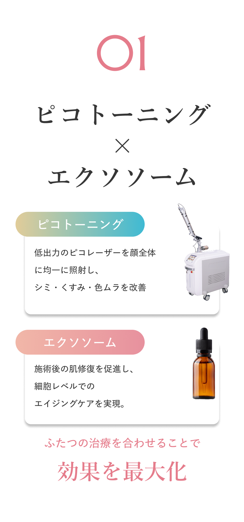 01 ピコトーニング × エクソソーム