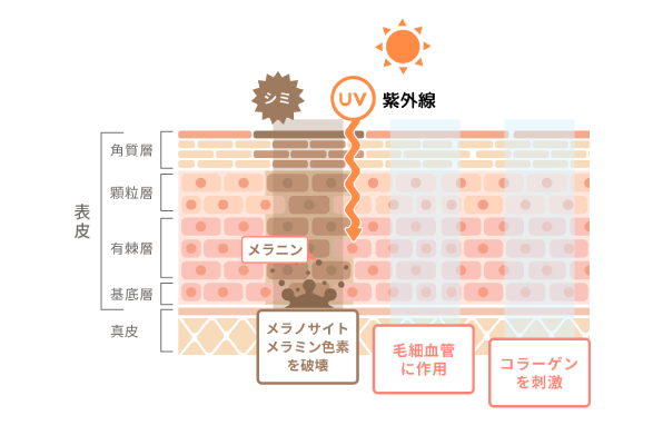 シェリークリニックの肌再生治療